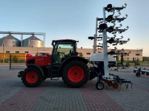gelio (15)
