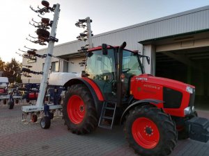 gelio (17)