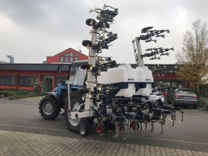 gelio (27)