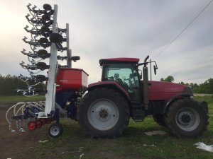 gelio (54)
