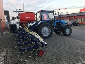 gelio (65)